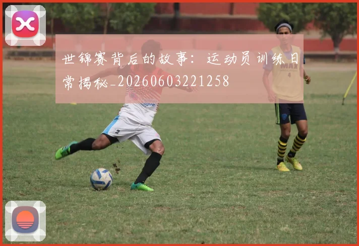 世锦赛背后的故事：运动员训练日常揭秘_20260603221258