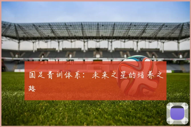 国足青训体系:未来之星的培养之路